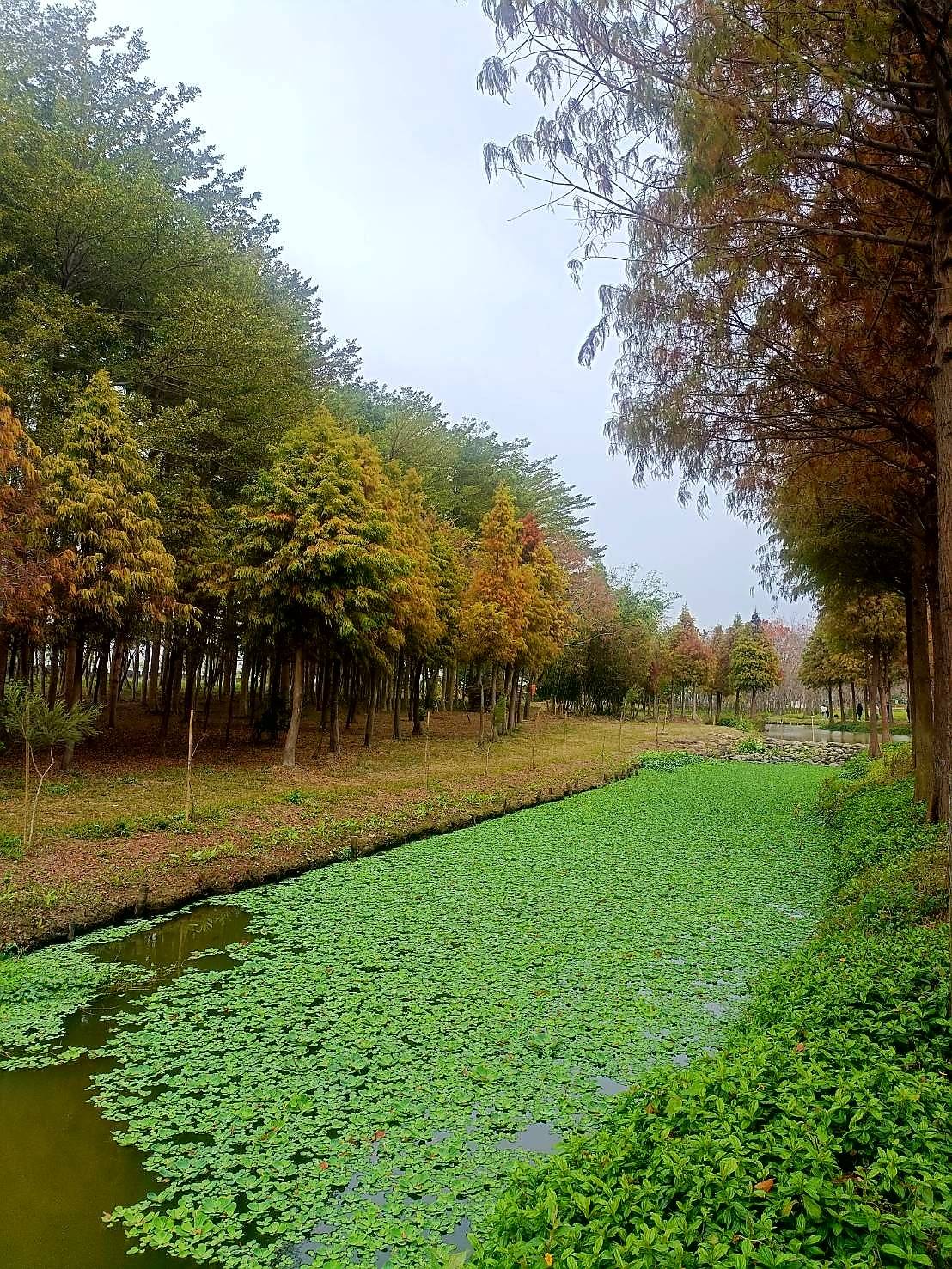 timeline_20220124_113956.jpg