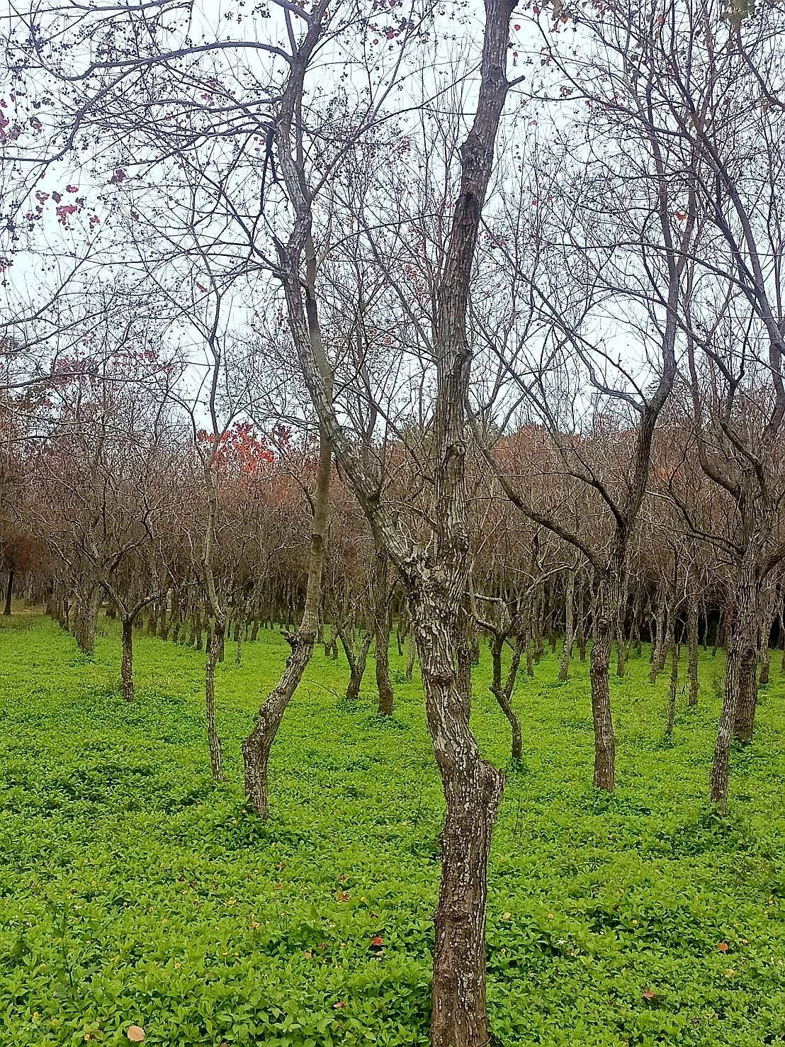 timeline_20220124_114121.jpg